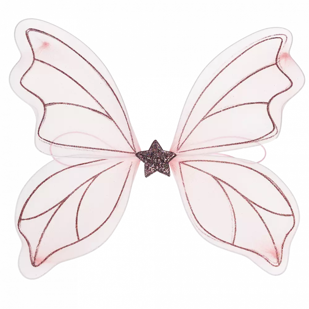 Ailes de fée roses – Image 4