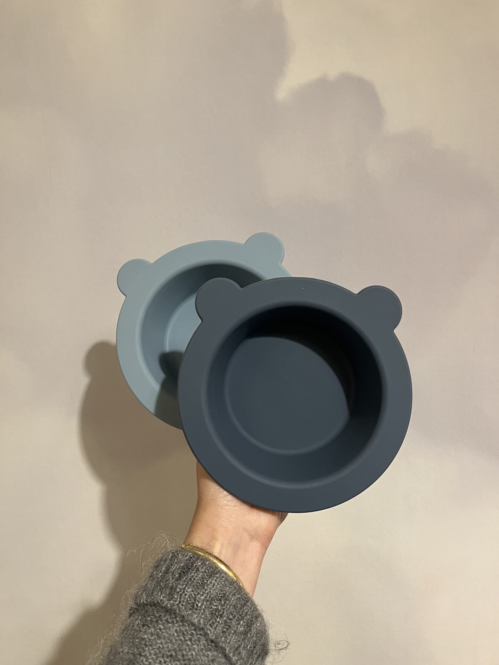 Bol à ventouse silicone