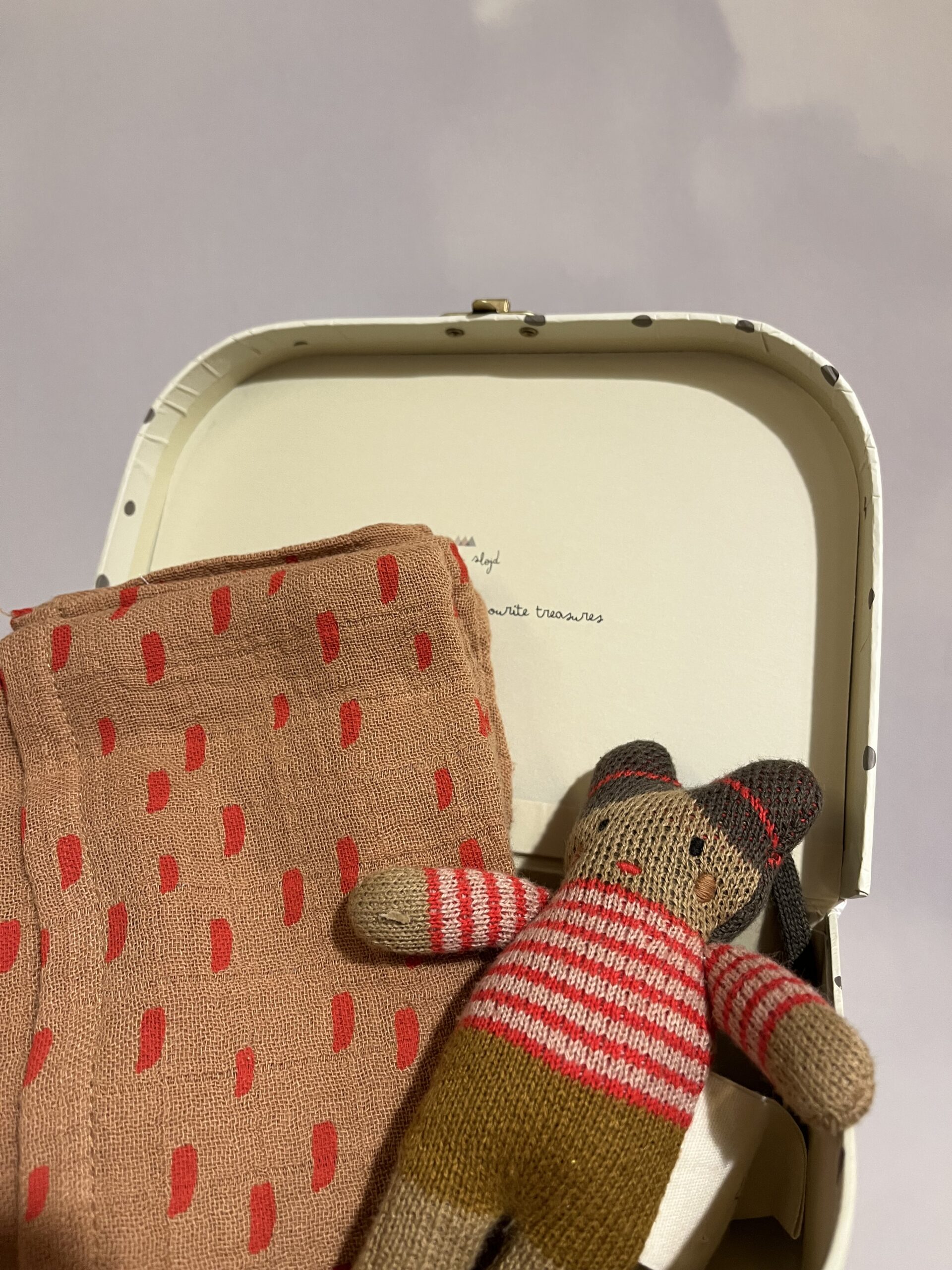 Valise cadeau de naissance #3 – Image 2