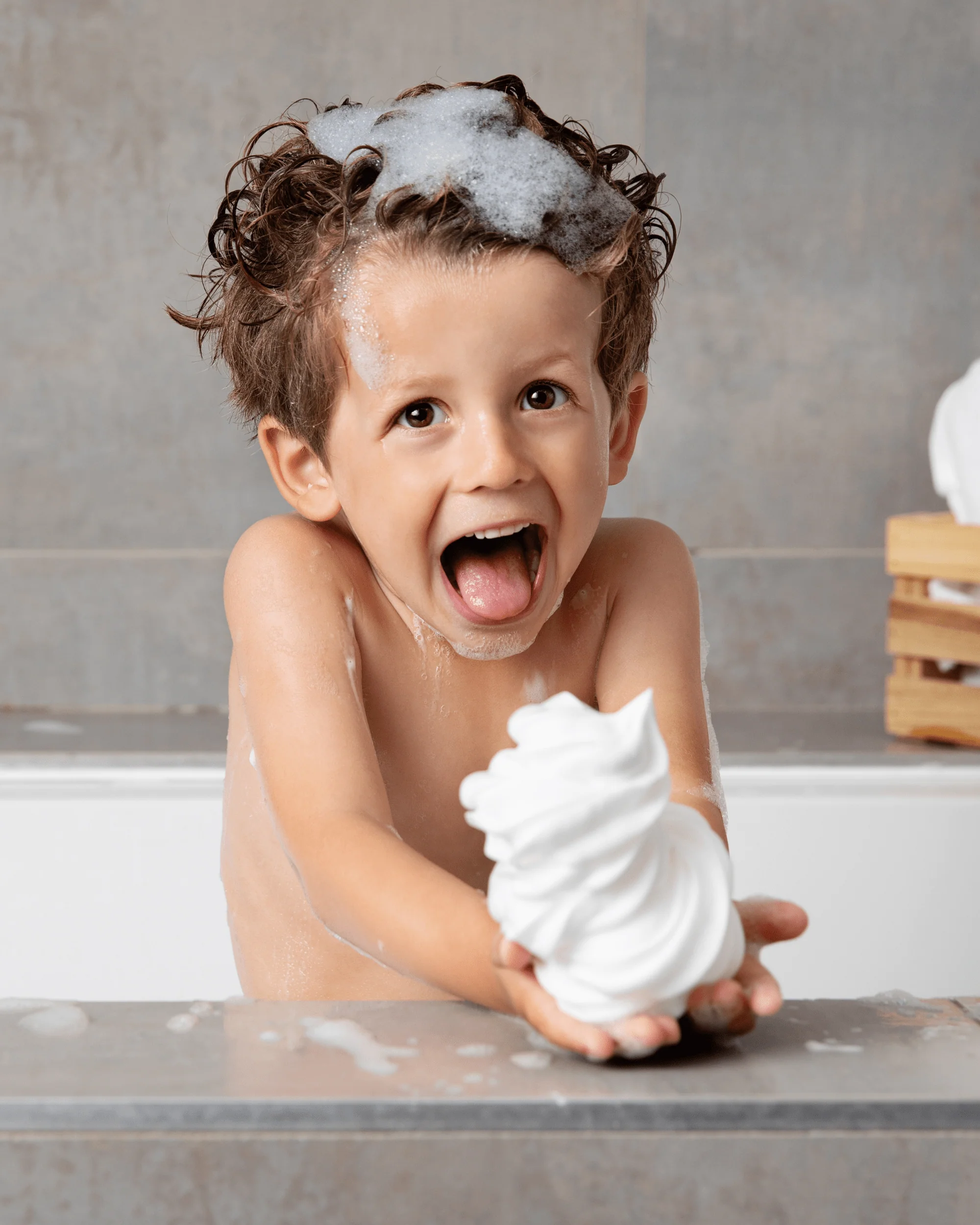 Ma chantilly lavante – Image 3